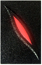 ZKTeco KR101M
